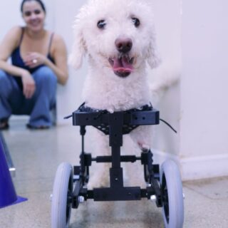 Rio ganha mais opções gastronômicas com mercado em Laranjeiras