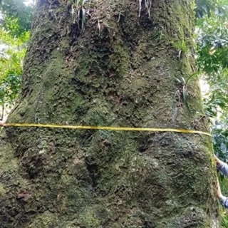 O Grande Retorno de Tiziano Ferro: Novo Álbum e Uma Nova Era na Carreira