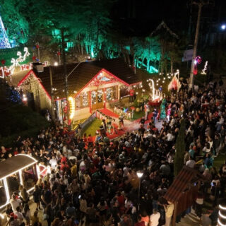 Café da Manhã do Brasileiro: O Pão no Coração da Primeira Refeição e o Desafio da Inflação