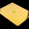 iPad Pro Gold - Imagem 3